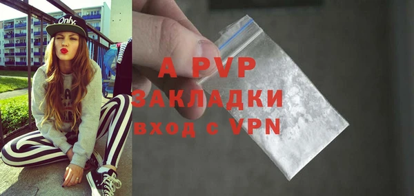 СК Зеленокумск