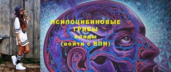 СК Зеленокумск