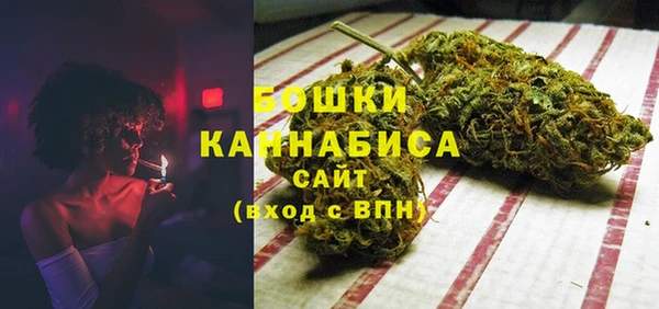 СК Зеленокумск