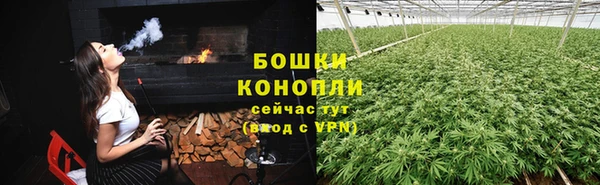 СК Зеленокумск