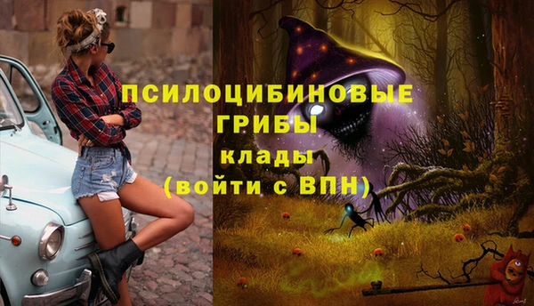 СК Зеленокумск