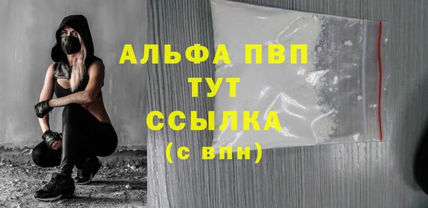 СК Зеленокумск