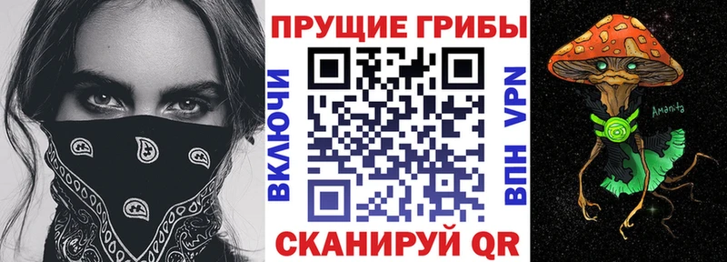 Галлюциногенные грибы GOLDEN TEACHER  Кисловодск 
